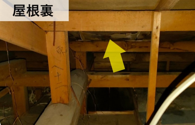 熊本　屋根裏雨漏り点検　下地が傷んでいる